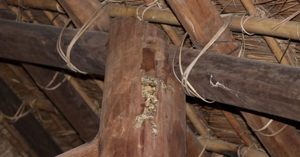 Nhà truyền thống bạc tỉ từ ngân sách chưa bàn giao đã hỏng