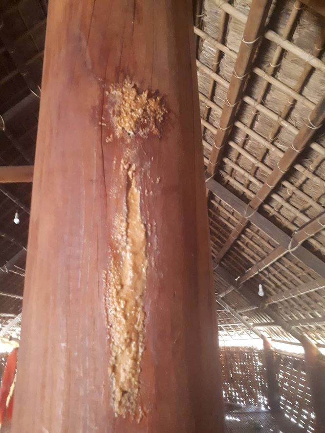 Nh&agrave; truyền thống bạc tỉ từ ng&acirc;n s&aacute;ch chưa b&agrave;n giao đ&atilde; hỏng