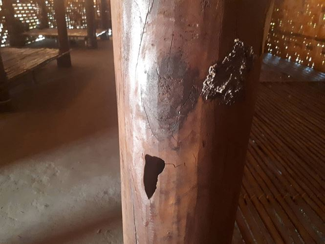 Nh&agrave; truyền thống bạc tỉ từ ng&acirc;n s&aacute;ch chưa b&agrave;n giao đ&atilde; hỏng