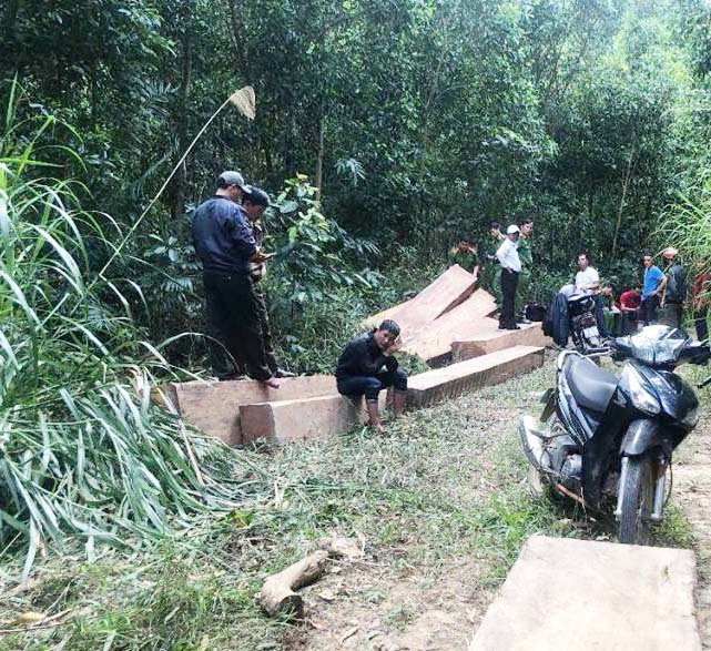 B&atilde;i tập kết gỗ m&agrave; người d&acirc;n ph&aacute;t hiện b&aacute;o ch&iacute;nh quyền địa phương.