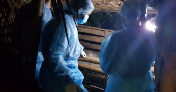 Thanh Hóa: Thêm hai huyện xuất hiện dịch tả lợn châu Phi