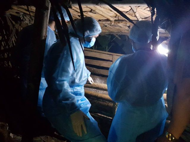 T&igrave;nh h&igrave;nh dịch tả lợn ch&acirc;u Phi tại Thanh H&oacute;a vẫn đang diễn biến hết sức phức tạp.