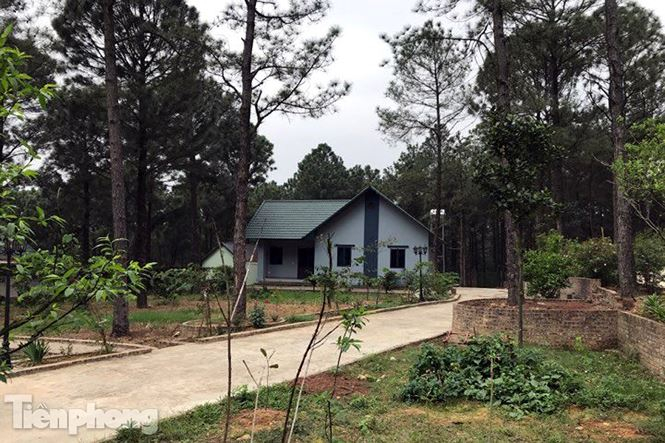 Hậu quả l&agrave; h&agrave;ng trăm hồ sơ mua b&aacute;n, chuyển nhượng quyền sử dụng đất trong quy hoạch rừng ph&ograve;ng hộ được chứng thực. Nhiều thửa đất nằm trong rừng ph&ograve;ng hộ vẫn được cấp giấy chứng nhận quyền sử dụng đất, k&eacute;o theo đ&oacute; l&agrave; t&igrave;nh trạng x&acirc;y dựng c&ocirc;ng tr&igrave;nh tr&aacute;i ph&eacute;p diễn ra tr&agrave;n lan, kh&ocirc;ng được kiểm so&aacute;t như hiện nay.