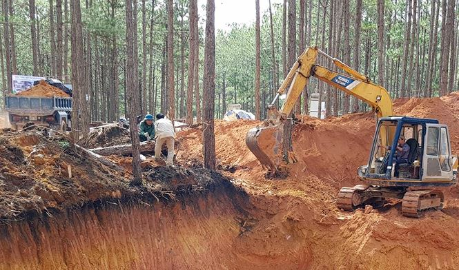 Cưa hạ th&ocirc;ng, san gạt đất rừng tr&aacute;i ph&eacute;p.