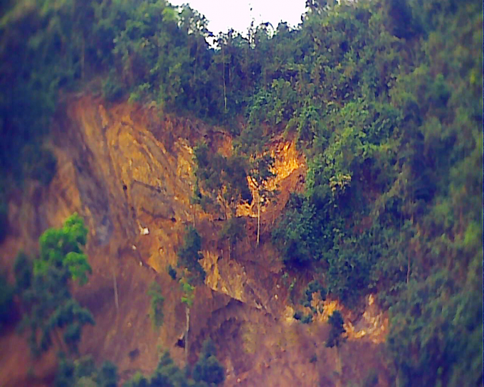 Khu vực đ&agrave;o bới để l&agrave;m trang trại lợn rừng của C&ocirc;ng ty Tam Ph&uacute;.