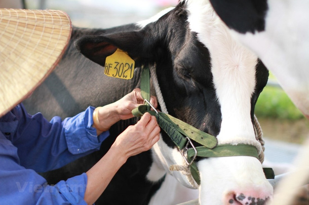 Bất ngờ xuất hiện th&ecirc;m 2 cổ đ&ocirc;ng lớn tại GTNFoods