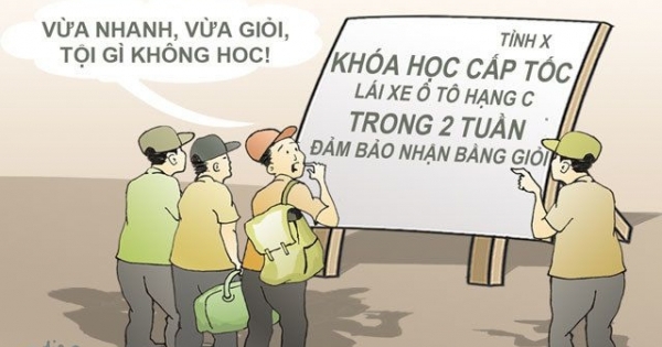 Thế này thì phải đến Hải Phòng học lái xe thôi!