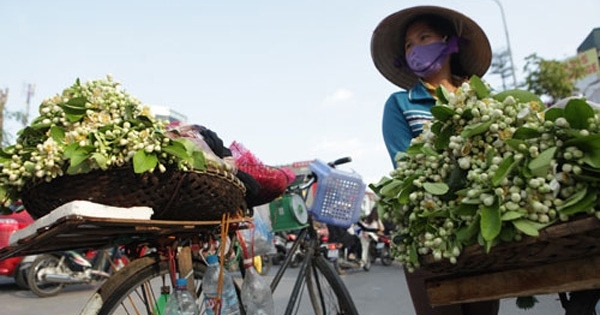 Dự báo thời tiết ngày 1/3: Hà Nội có sương mù, miền Nam nắng nóng