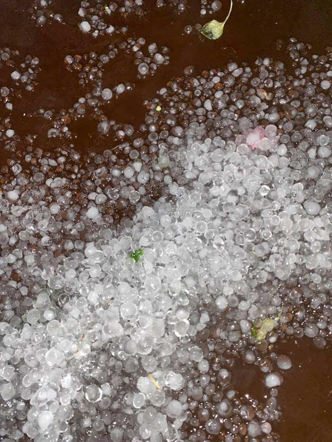 2.902 nhà bị tốc mái  tốc mái trên 70% có 71 nhà, tốc mái từ 50 đến dưới 70% là 28 nhà, tốc mái từ 30 đến 50% là 78 nhà,  tốc mái nhẹ 2.725 nhà). 