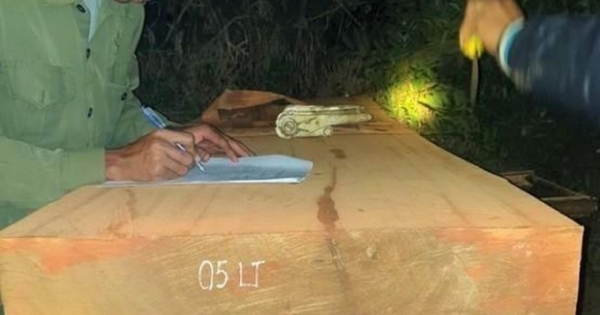 Chặn bắt nhóm đối tượng vận chuyển gỗ lậu trong đêm