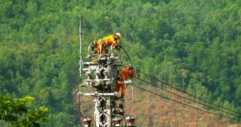Tăng giá điện sinh khối