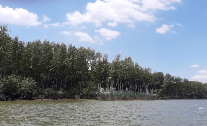 rung phong ho long thanh