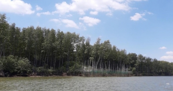 Đồng Nai: Công tác bảo vệ rừng còn nhiều khó khăn