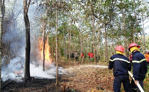 Tình người và tình quân dân là bất diệt