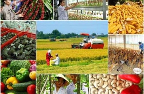 Tiếp tục thực hiện Nghị quyết TW7 về nông nghiệp, nông dân, nông thôn