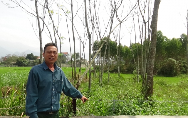 Tuyên Quang: “Người sống tranh...đất với người âm”