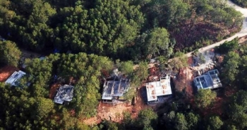 Đình chỉ dự án nghỉ dưỡng cao cấp xâm hại rừng phòng hộ