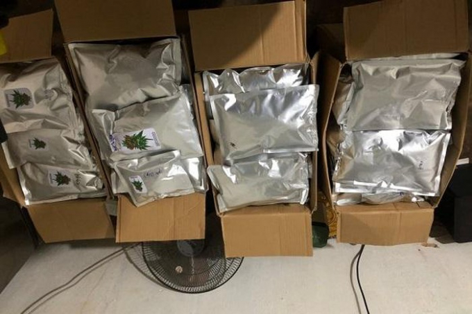 767dcd88decb37956eda