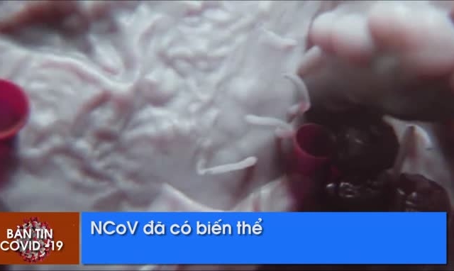 Bản tin Covid-19 ngày 12/3: nCoV đã có biến thể, Việt Nam lên phương án cách ly trên diện rộng