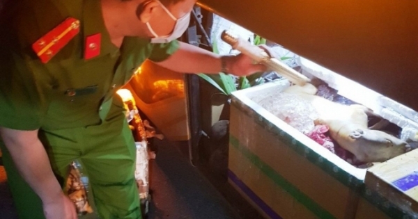 Tạm giữ chiếc xe khách chở nội tạng động vật bốc mùi hôi thối