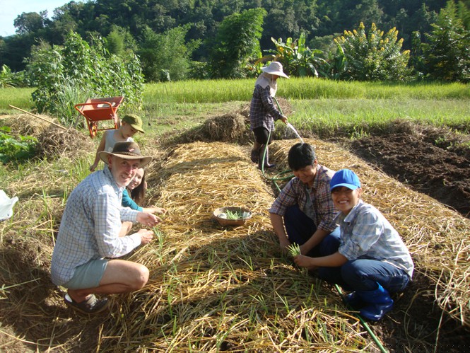 Giáo viên bản ngữ thất nghiệp - ảnh 1
