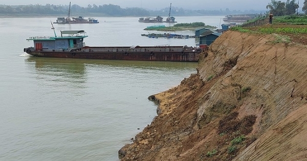 Quằn quại một dòng Lô