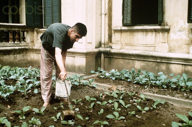 phi cong tu binh my trong chien tranh viet nam duoc doi xu nhu the nao? hinh anh 5