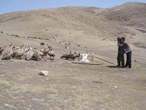 10 tap tuc ky la va tham chi ghe ron nhat the gioi hinh anh 10