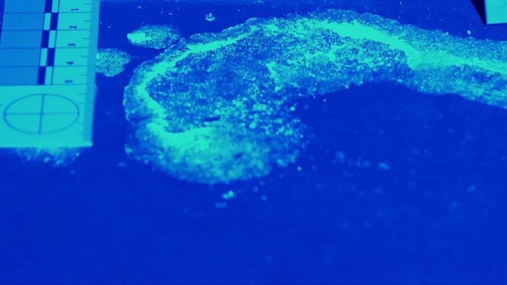 ke hoach giet vo hoan hao cua ga chong hai mat: dong co khong ngo hinh anh 2