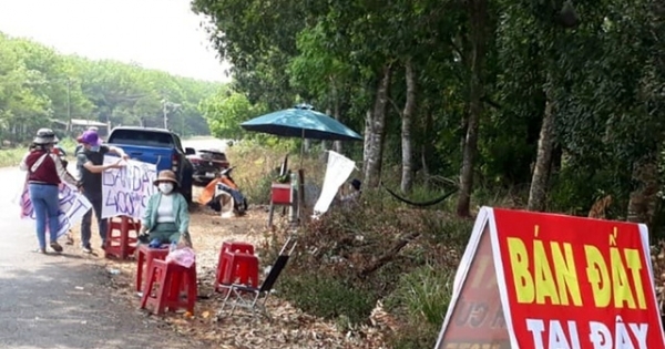 Hậu họa tin giả thời “sốt đất”