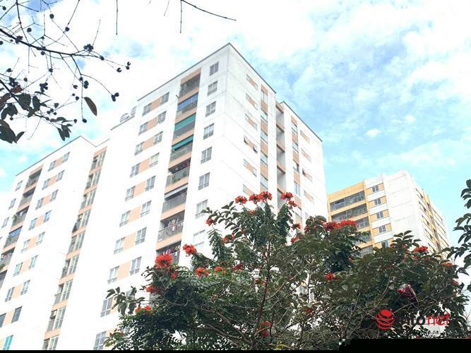 Có thể mất trắng nếu mua nhà xã hội qua hợp đồng ủy quyền, vi bằng