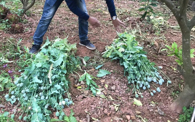 Bắc Giang: Phát hiện