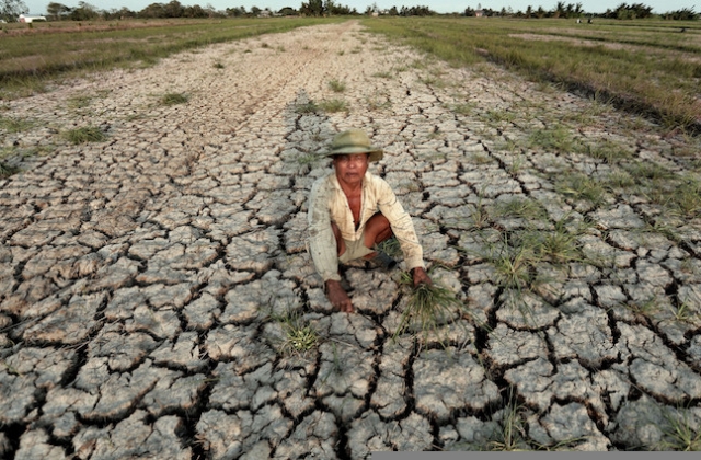 Cơ chế hỗ trợ phòng, chống khắc phục hậu quả hạn mặn