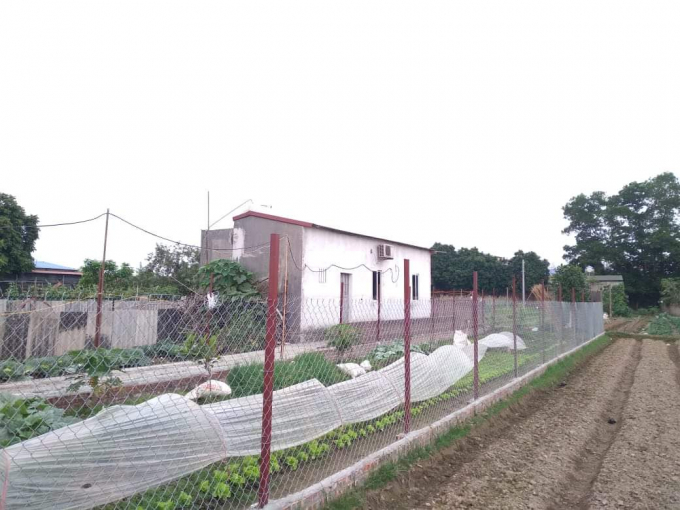 Vu-chong-sat-hai-vo-va-con-gai-7-tuoi-Truoc-tham-kich-van-cung-vo-con-di-mua-hoa-8-3-received_217772600032459-1615290378-777-width1040height780.