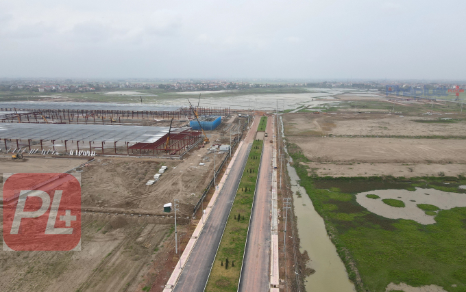 org_7165ec5fae28691a_1615356424000-ink.