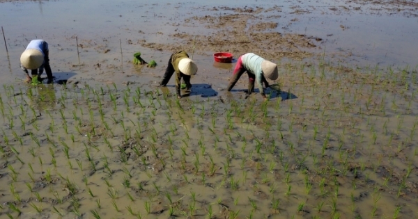 Bắc Bộ thời tiết ấm dần, Nam Bộ nắng nóng trên diện rộng