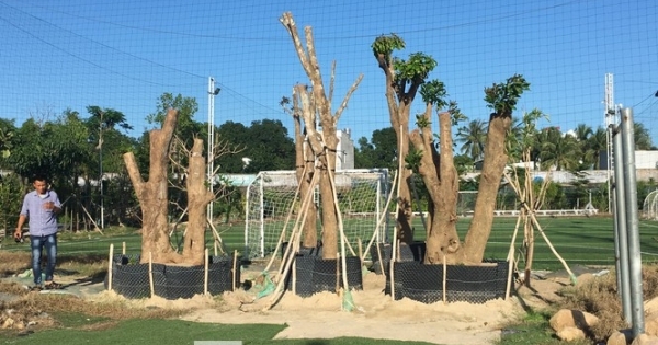 Khánh Hoà kiểm tra việc ưu ái cho thuê 