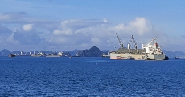 Quảng Ninh: Triệt phá ổ nhóm chuyên cưỡng đoạt tài sản của chủ tàu tại khu vực cảng Hòn Nét