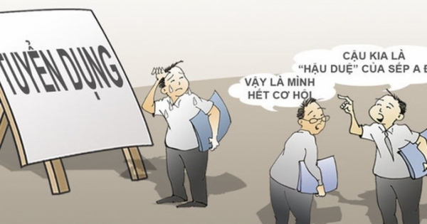 Tỉnh Hưng Yên công nhận kết quả khắc phục sai phạm trong tuyển dụng 103 viên chức