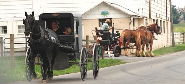 Cuộc sống kỳ lạ của tộc người "chối bỏ thế giới hiện đại" giữa lòng nước Mỹ