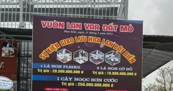 Công an Quảng Ninh xác minh vụ giao dịch lan đột biến hàng trăm tỷ