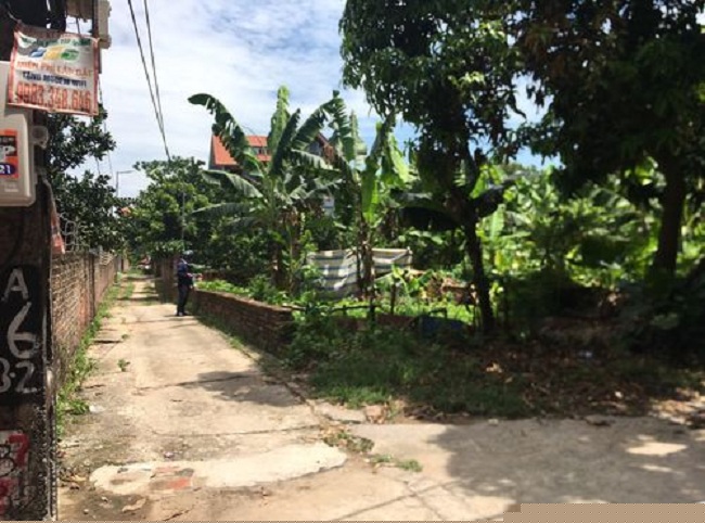 Nhiều thửa đất tại Đông Anh tăng giá 30 - 50% chỉ sau một tuần