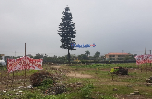 Thái Bình: Vì sao chủ đầu tư vội vàng tạm dừng đấu giá khu dân cư thôn Phú Xuân