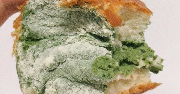 Tranh nhau đặt mua "bánh mì mốc" với giá 65 nghìn đồng/chiếc