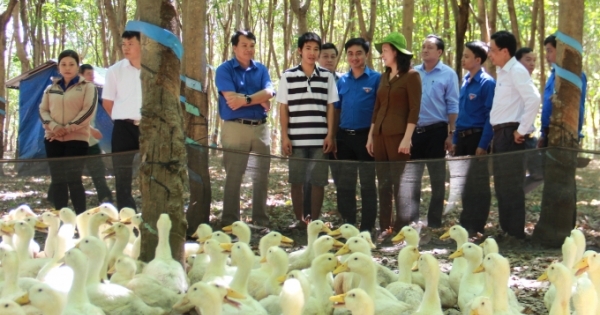 Startup Bình Phước được lãnh đạo tỉnh đến thăm và khích lệ nhân dịp sinh nhật Đoàn