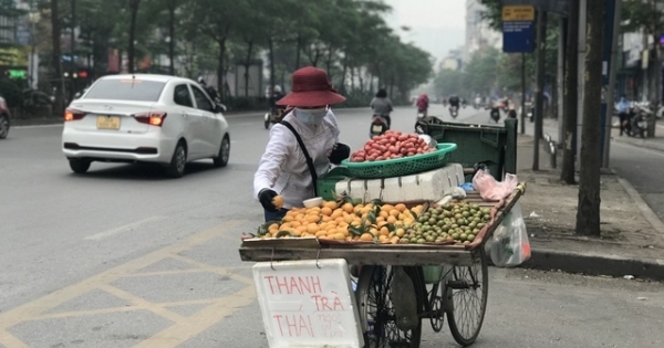 "Sốt" thanh trà dọc vỉa hè Hà Nội, giá 200.000 đồng/kg