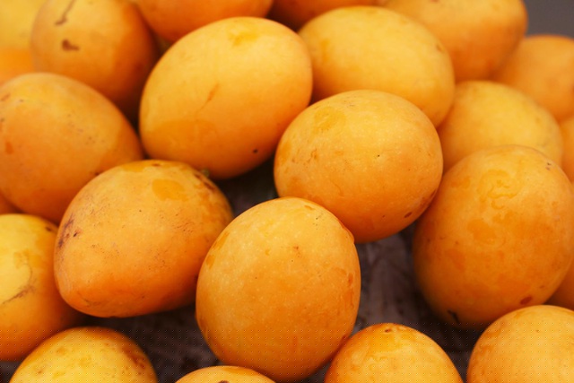 Thanh trà có dáng hình gần giống như xoài tí hon hoặc quả biwa Nhật