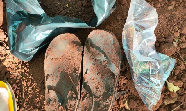 Bình Phước: Nhiều hài cốt liệt sĩ được tìm thấy tại rừng cao su