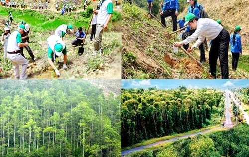 Ðiều kiện sản xuất, kinh doanh giống cây trồng lâm nghiệp