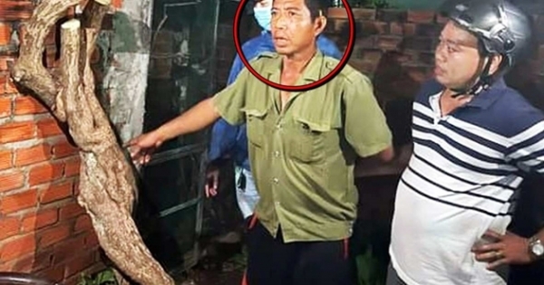 Bắt nghi phạm cưa trộm cây hoa giấy 20 năm tuổi